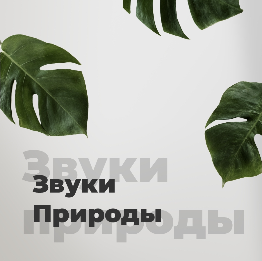 Звуки Природы - 101.ru 
